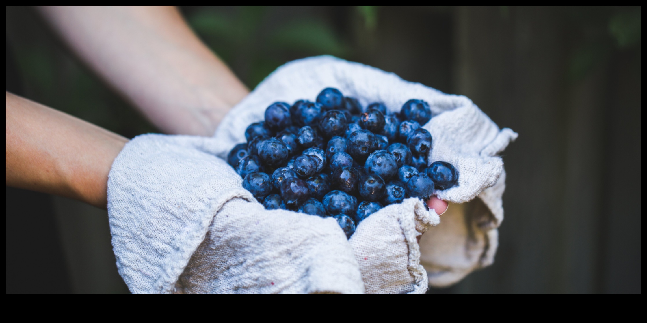 Berry Bliss: Tatlı ve Sulu Taze Meyve Sularının Keyfini Çıkarmak